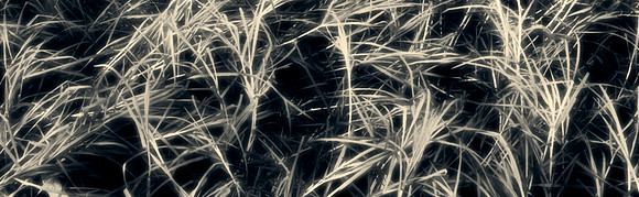 Web Banner Page 1